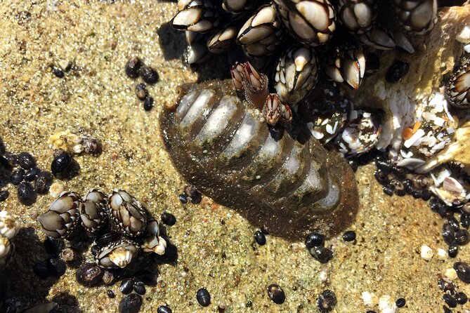 Private Northern Oregon Coast Day Trip - Reviews