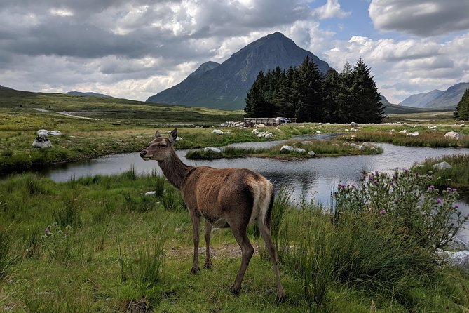 Private One Day Highlands Tour of Scotland - Overview and Benefits