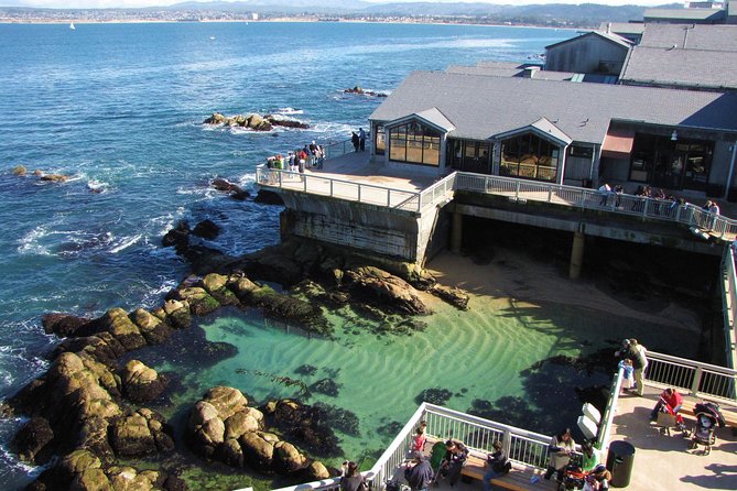 Private One-Day Road Trip Along Californias Pacific Coast  - San Jose - Traveler Photos, Reviews, and Recommendations