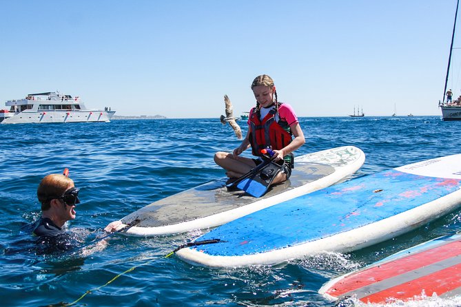 Private Paddleboard and Snorkel at the Arch - End Point