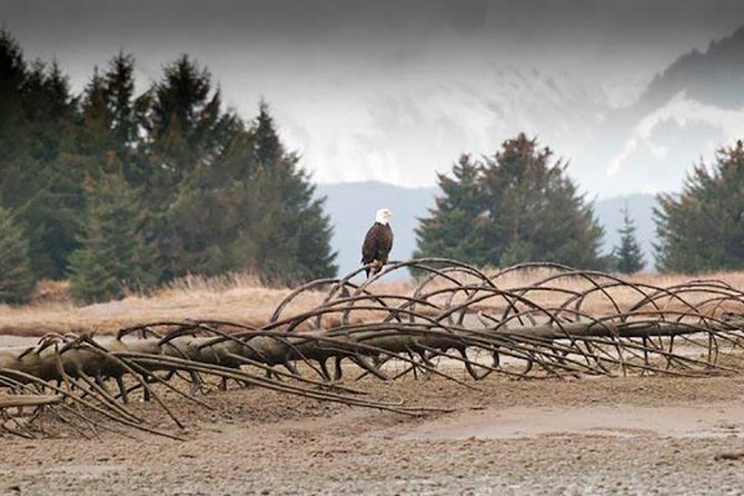 Private Photography Tour Haines Departure - Traveler Reviews and Ratings