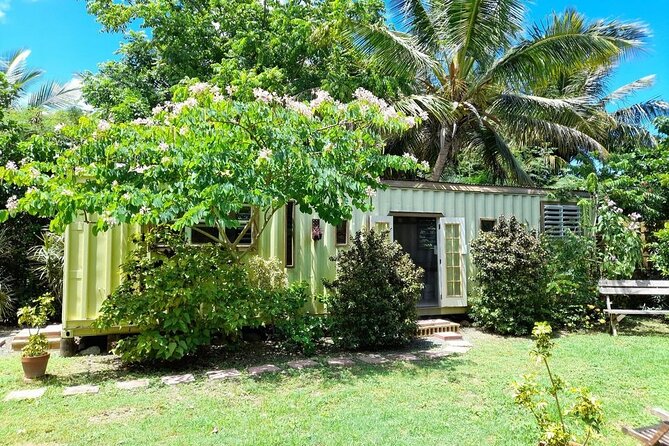 Private Pottery Experience at British Virgin Islands - Directions to the Meeting Point