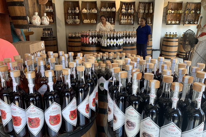 Private Puerto Vallarta Local Style Tequila Walking Tour and Brunch - Reviews