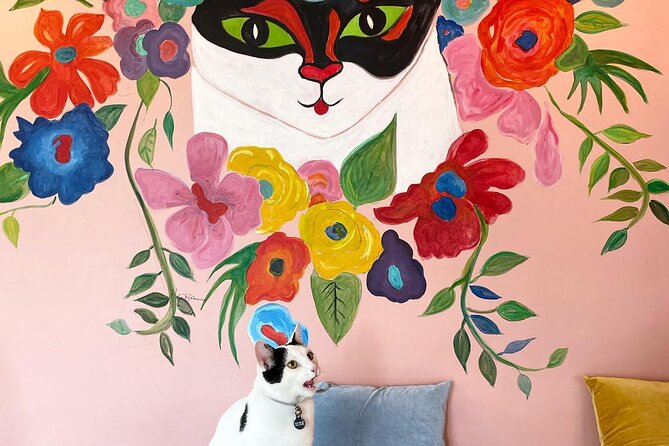 Private Reykjavik Cat Walking Tour - Cat Coffeehouse Visit