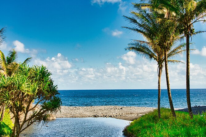 Private Road to Hana Tour - Full Day - Traveler Reviews
