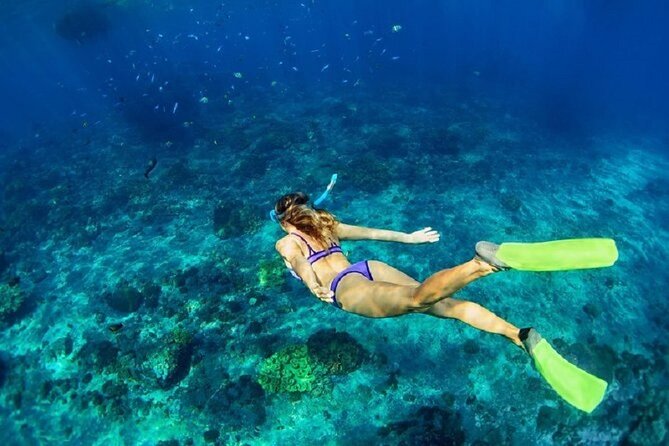 Private Sailing Tour in Rhodes - Reviews and Ratings