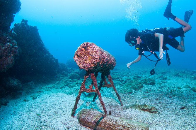 Private Scuba Diving Puerto Vallarta Undersea - Additional Information