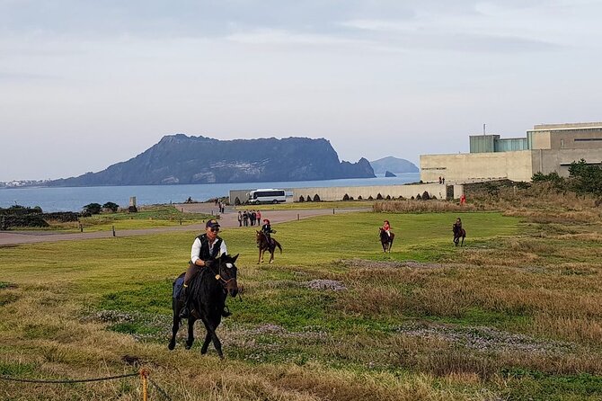Private Seogwipo Tour With Limousine Taxi Transfer - Additional Information