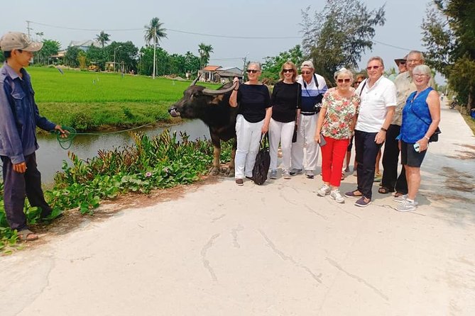 Private Shore Excursion From Tien Sa Port to Experience Hoi an Countryside Tour - Directions