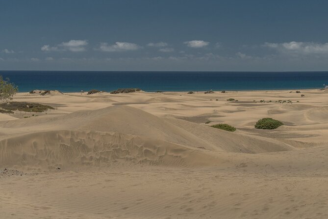 Private Shore Excursion in Gran Canaria the Miniature Continent - How to Book Your Private Shore Excursion