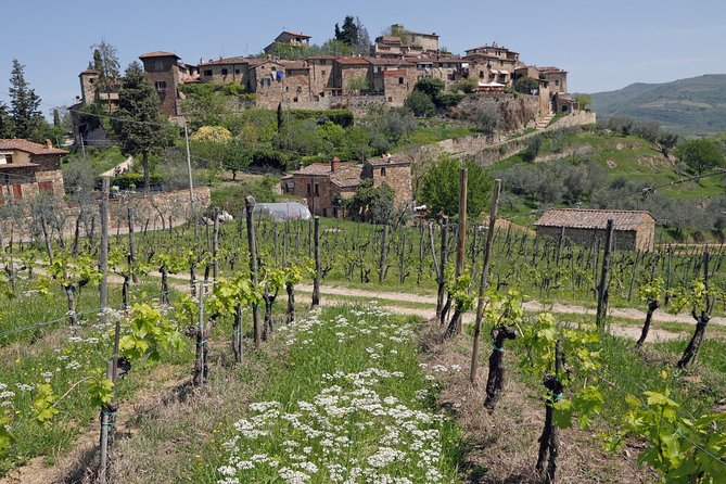 Private Siena to Florence Chianti and San Gimignano Transfer Tour - Additional Information and Tips