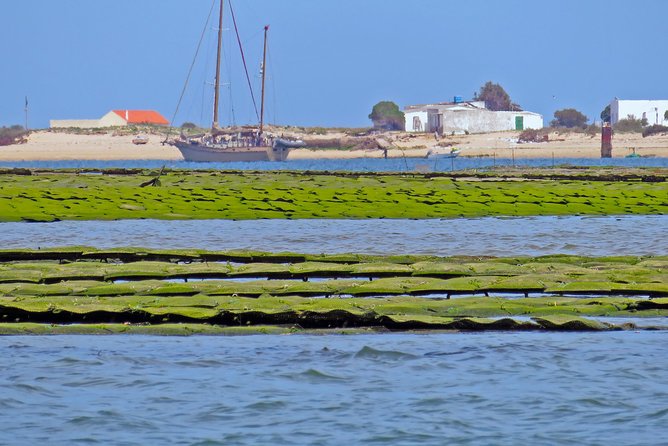 Private Sightseeing Boat Tour in Ria Formosa at Olhão - Sunbathe and Swim at Armona Beach