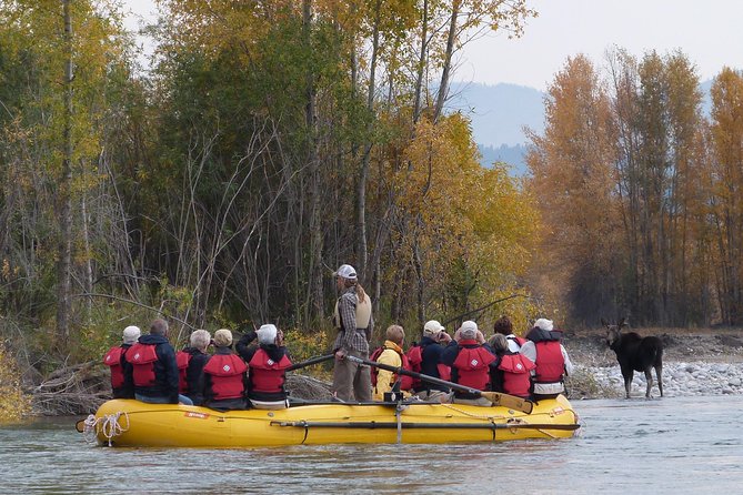 Private Snake River Scenic Float With Teton Views - Accessibility and Medical Considerations