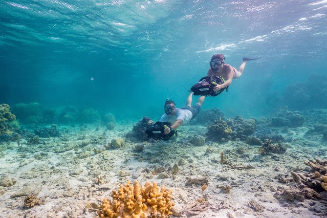 Private Snorkeling Jet - Reviews and Testimonials for Private Snorkeling Jet Tours