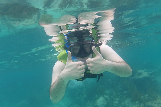 Private Snorkeling Tour With Sea Turtles at Akumal Beach  - Playa Del Carmen - Tour Highlights (Positive Reviews)