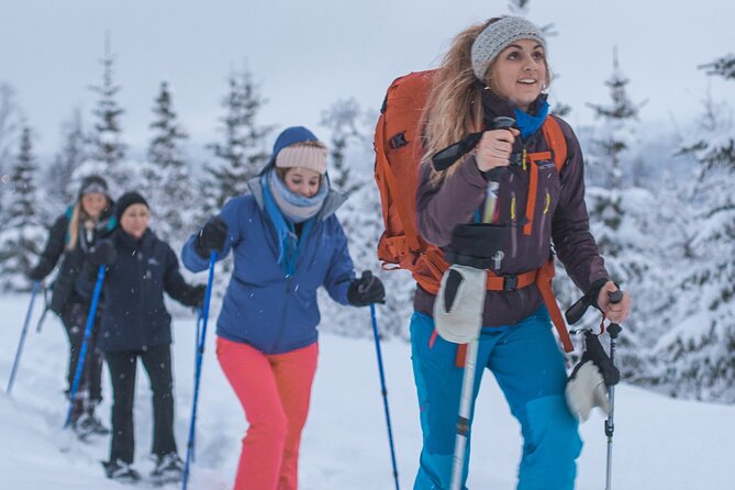 Private Snowshoe Hike X Tesla Experience - Traveler Photos for the Private Snowshoe Hike X Tesla Experience