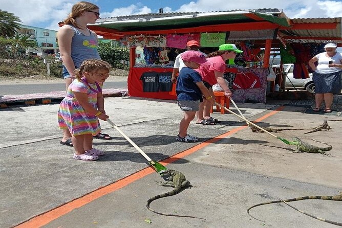 Private St Maarten Island Sightseeing Tour - Overall Satisfaction and Additional Information
