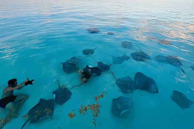 Private: Stingray City, Starfish, Snorkeling - 6 Guests - Meeting and Pickup