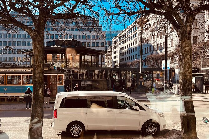 Private Stockholm City Tour by VIP Car Vasa and Skansen Museum - Tour Experience