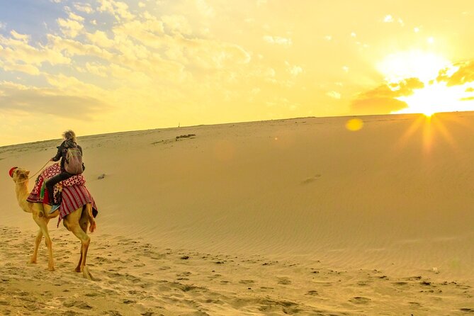 Private Sunrise Safari Tour in Abu Dhabi With Camel Ride - Camel Ride Experience