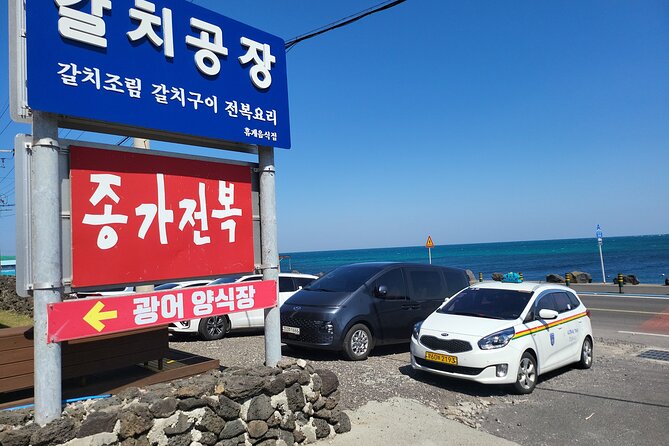 Private Taxi Transfer From Jeju City Downtown to Jeju Airport - Meeting and Pickup