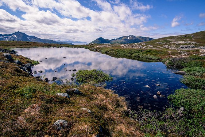 Private Tesla X Fjord Hiking - Customizable Itinerary for Group and Weather