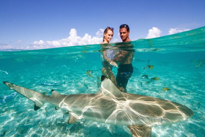 Private Tour: Bora Bora Lagoon Eco Snorkel Cruise - 3hrs or 6hrs - Cancellation Policy and Customer Reviews