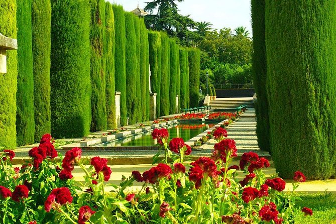 Private Tour: Cordoba Walking Tour With Skip-The-Line Tickets - Price