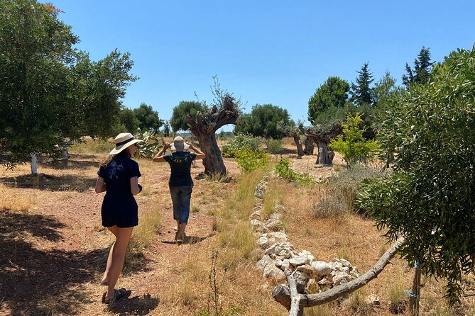 Private Tour: Discover the Secret World of Olives in Afantou - Common Questions
