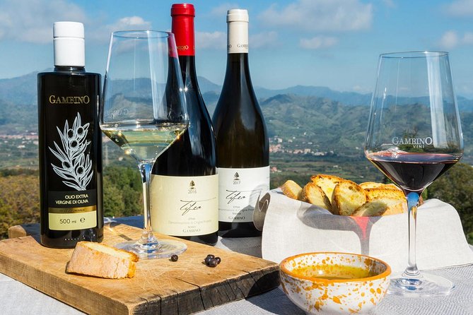 Private Tour From Messina Cruise Terminal to Etna Etna Winery - Cancellation Policy