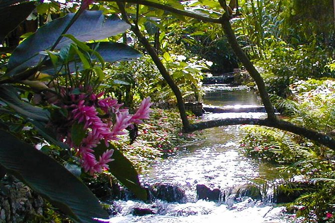 Private Tour From Ocho Rios To Blue Hole & Konoko Falls - Tour Guide Experience