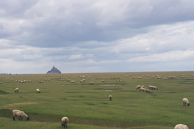 Private Tour From Paris via Rennes to Mont Saint-Michel With Driver-Guide - Common Questions