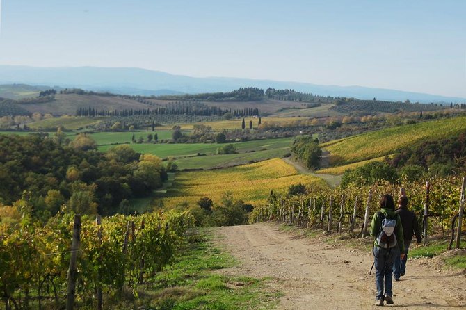 Private Tour: Guided Hike in Tuscany With Transport From Siena - Visit to San Gimignano