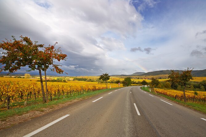 Private Tour in Barossa in a Luxury Car - Affordable Luxury Experience