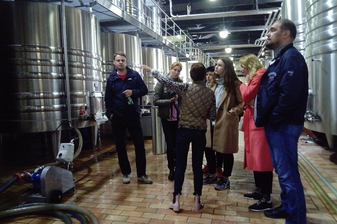 Private Tour in Saint-Emilion, Médiéval Village and Wine Tasting - Uncovering the Regions History