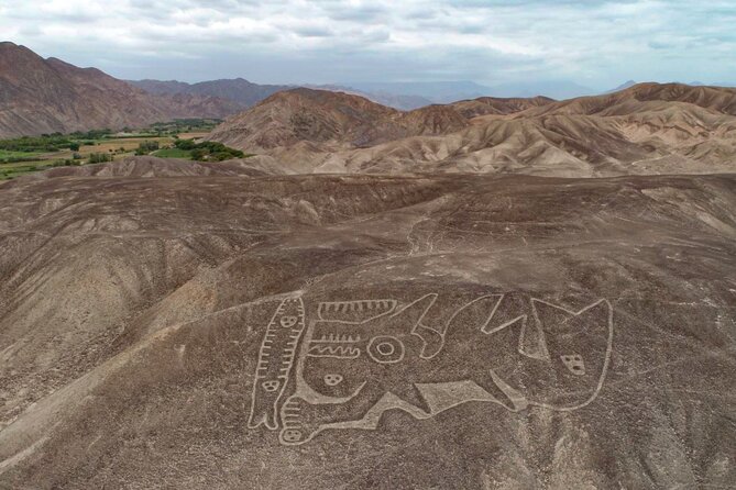Private Tour Miradores Palpa Nazca With Nazca Lines Overflight - Nazca Lines Overflight