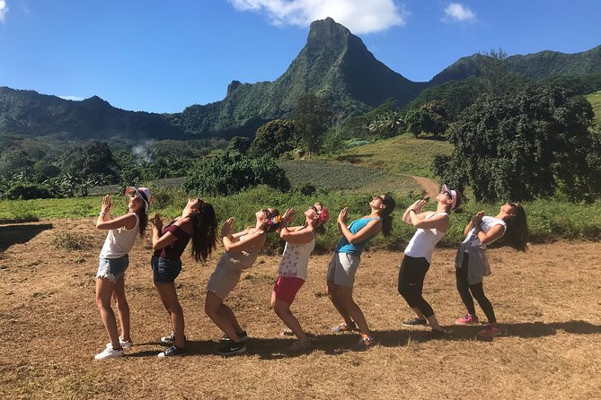 Private Tour Moorea 4WD - Belvedere Pineapple Farm, Magic Mount. - Magic Mount