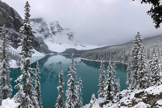 Private Tour of Lake Louise and the Icefield Parkway for up to 12 Guests - Reviews and Testimonials