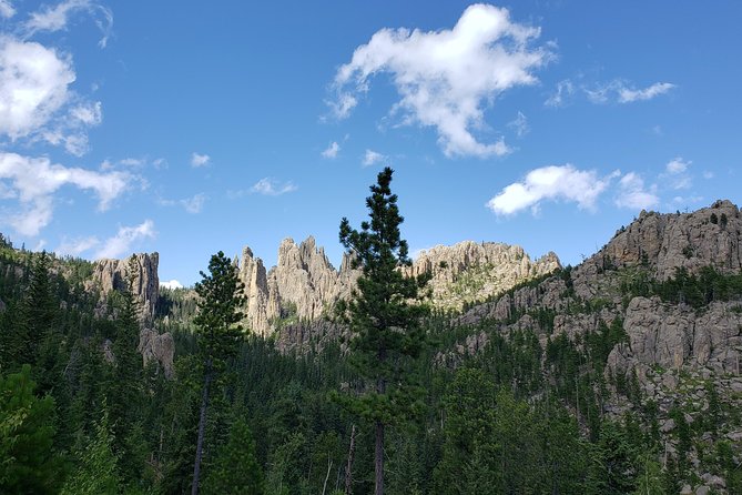 Private Tour of Mount Rushmore, Crazy Horse and Custer State Park - COVID-19 Safety Measures
