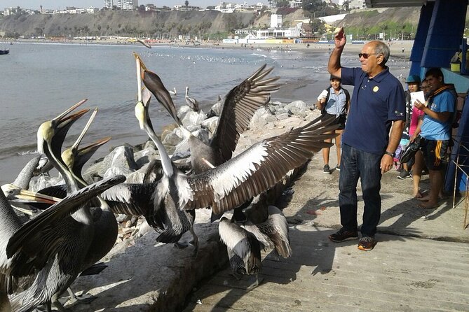 Private Tour of Pachacamac Site and Horse Show From Lima - Inclusions