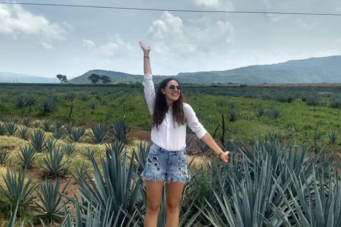 Private Tour One Day of Adventure in the Guachimontones and Tequila Pueblo Mágico - Guachimontones Ruins Exploration