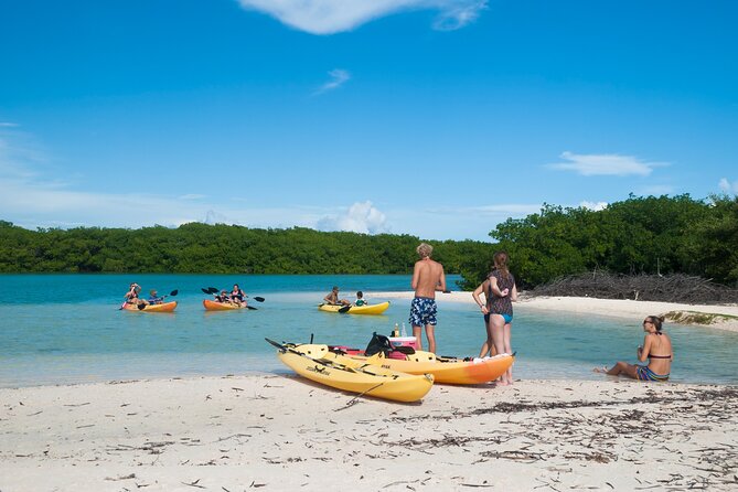 Private Tour Purple Island Mangroves Kayaking Adventure in Qatar - Cancellation Policy