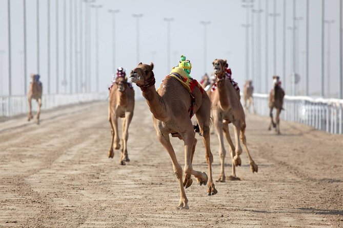 Private Tour Sheikh Faisal Museum and Camel Racing Track - Directions and Map