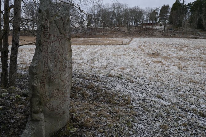 Private Tour: Swedish Iron Age Excursion From Stockholm 3h - Cancellation Policy