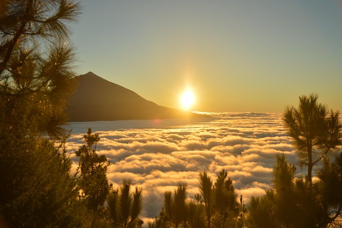 PRIVATE TOUR Teide National Park: Hiking and Stargazing - Contact and Questions