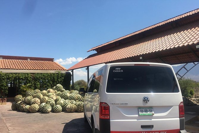 Private Tour to Hierve El Agua, Mezcal Tasting, and Textiles - Traveler Photos and Featured Review