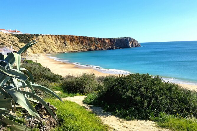 Private Tour to Sagres (Half Day) - Ratings and Reviews Breakdown