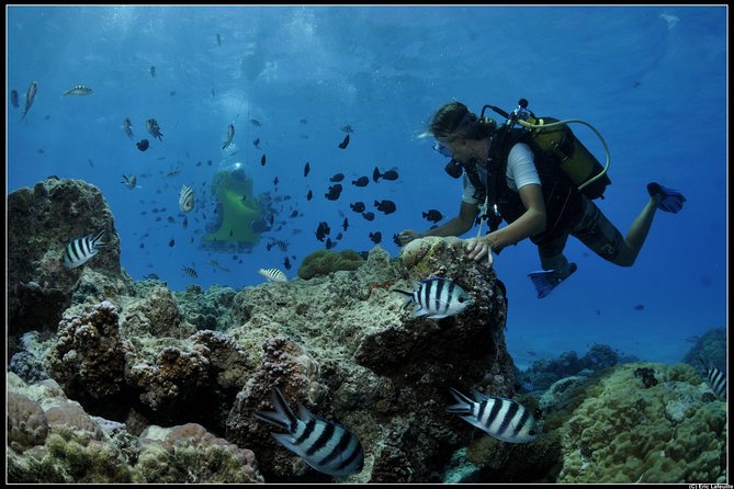Private Tour: Underwater Scooter Bora Bora - Authentic and Positive Reviews