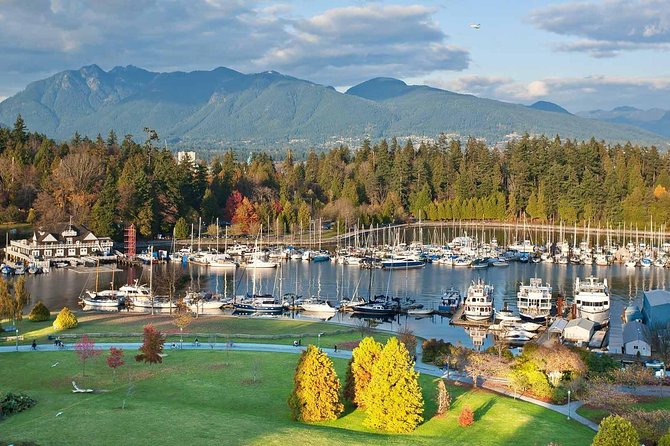 Private Tour: Vancouver Sightseeing and Capilano Suspension Bridge - Individualized Attention