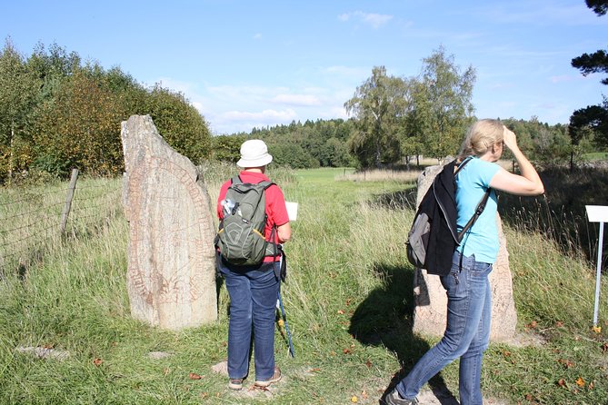 Private Tour: Viking History Trip From Stockholm Including the Runic Kingdom - Tour Highlights and Experience